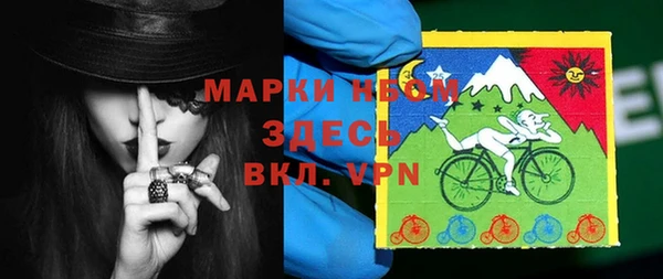 PSILOCYBIN Алзамай
