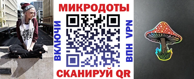 закладки  Беломорск  Псилоцибиновые грибы Cubensis 